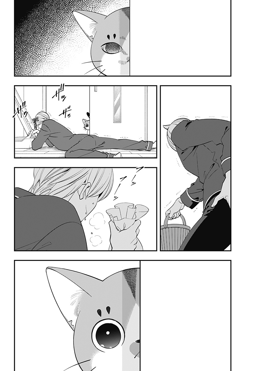 Miyaou Tarou ga Neko wo Kau Nante - Chapter 2 - Page 26